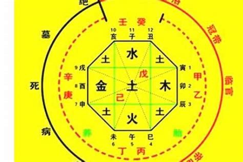 八字 四庫|論八字命理中的墓和庫